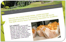 Our creative team will design a stylish Newsletter Template for you