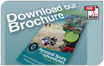 Live Brochures Studio allows you to display your brochures, product information, price-lists, menus, rate cards and other information on your website, making them accessible to a whole new world of potential customers.